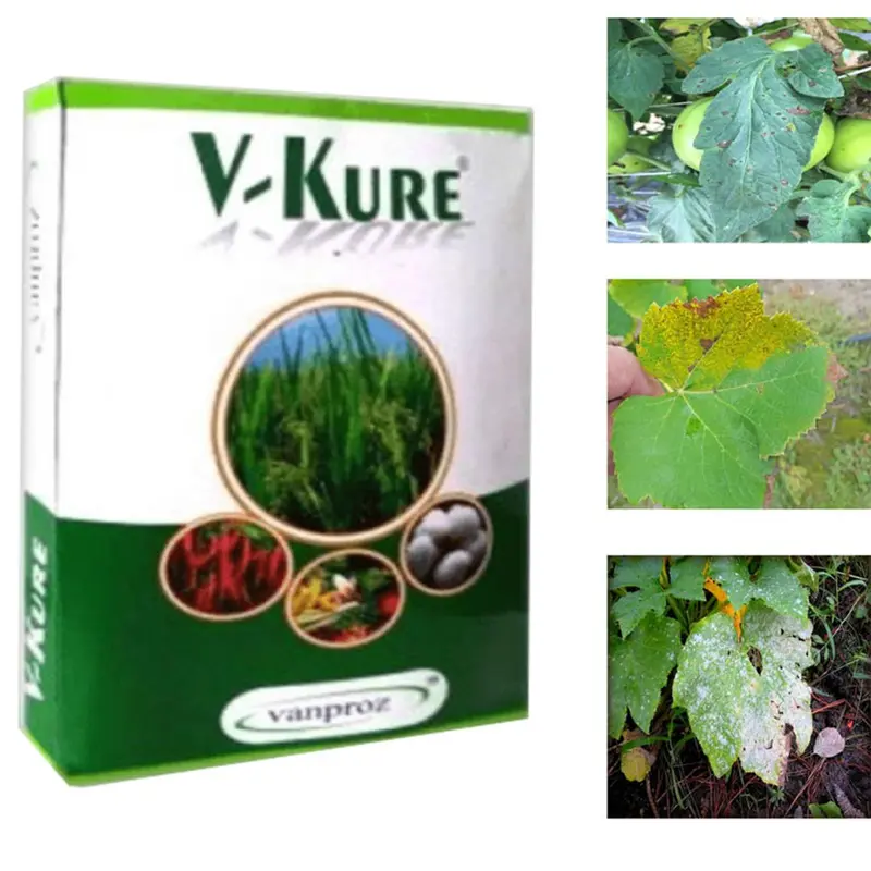 Organic V-kure, Bactericide & Fungicide Special(Quantity-500 gm)